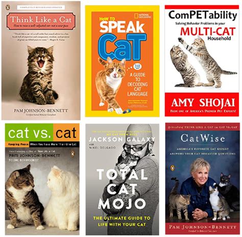 Best Books for Understanding Cat Behavior | Cat behavior, Cat behavior problems, Cat training