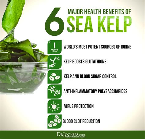 6 Major Health Benefits of Sea Kelp For Energy and Metabolism