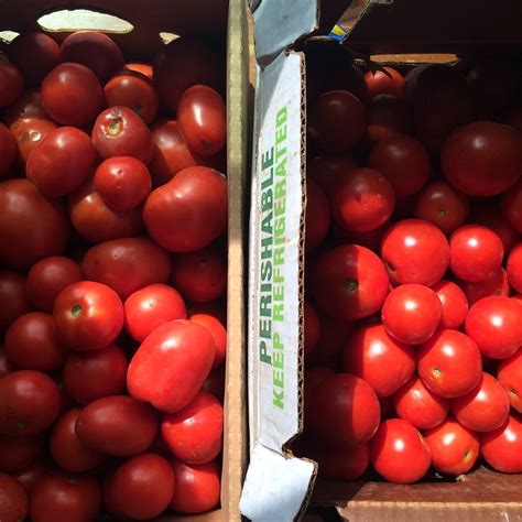 The Blueberry Files: Preserving Tomatoes: Salsa, Crushed, and Pureed