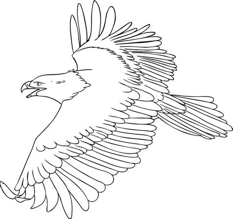 Eagle Simple Drawing at GetDrawings | Free download