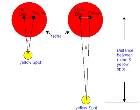 blind spot explanation