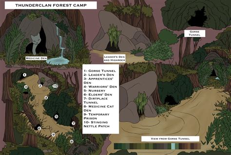 Warrior Cats Thunderclan Camp Map