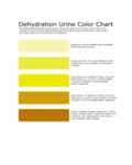 2024 Urine Color Chart Template - Fillable, Printable PDF & Forms | Handypdf