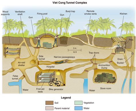 Why Were the Soil Tunnels of Cu Chi and Iron Triangle in Vietnam So ...