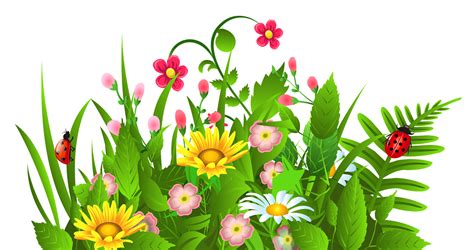 Wildflower Clipart at GetDrawings | Free download