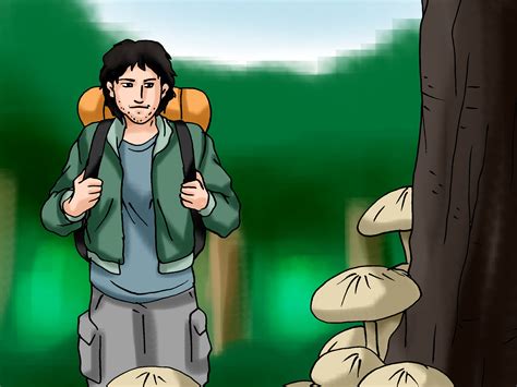 5 Ways to Survive Being Lost in the Forest - wikiHow