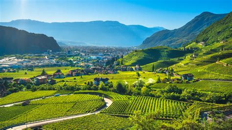 The Beginner's Guide To Italy's South Tyrol Wine Region