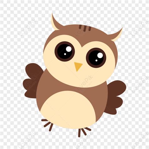 Creative Hand Drawn Illustration Cartoon Image Cute Animal Owl,anime ...