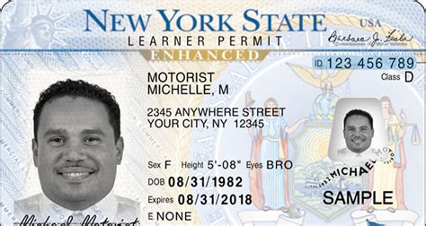 New York Drivers License Template