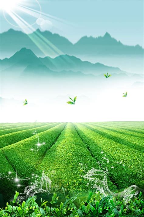 Free Dream, Clear, Tea Background Images, Fantastic Small Clear Tea Mood Poster Background ...