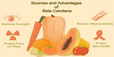 Health Benefits of Beta Carotene | Anzen Exports