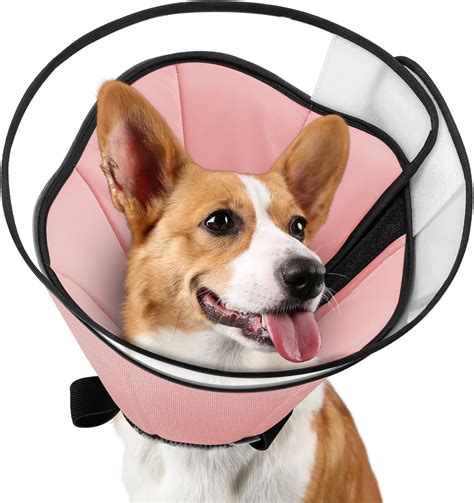 Amazon.com : Megeo Dog Cone for Dogs After Surgery, Dog Cones for Large ...