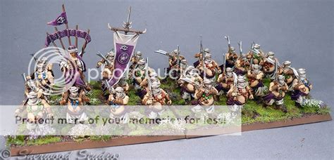 Huge Expertly Painted Lord of the Rings Harad and Umbar Army | eBay