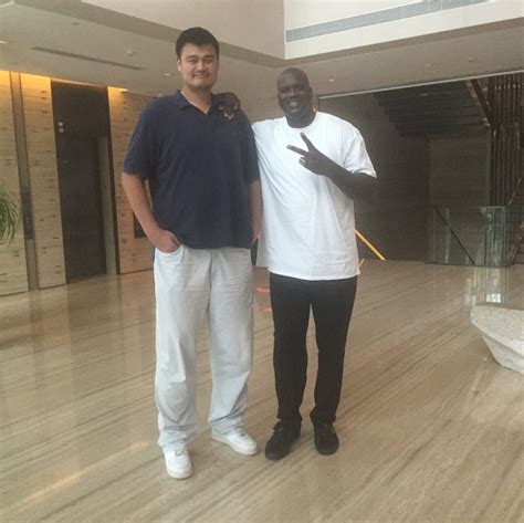 Yao Ming Height: How Tall is The Chinese Professional Basketball Player ...