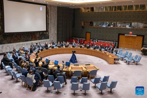 UN Security Council extends mandate of mission in Libya-Xinhua