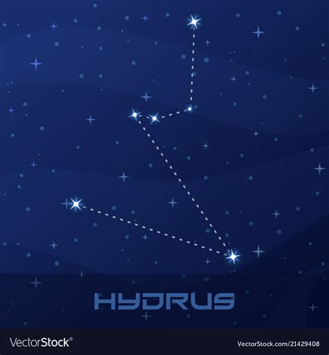 Constellation hydrus water snake Royalty Free Vector Image