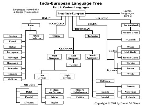 italian language diagrams | languages i e english and italic languages i e spanish | Language ...