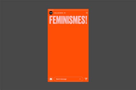 an orange book cover with the words feminists on it's front and back