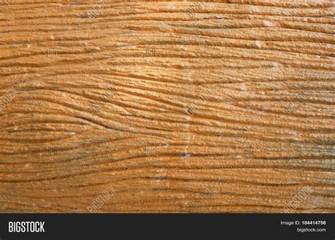 Texture Bark Wood Use Image & Photo (Free Trial) | Bigstock