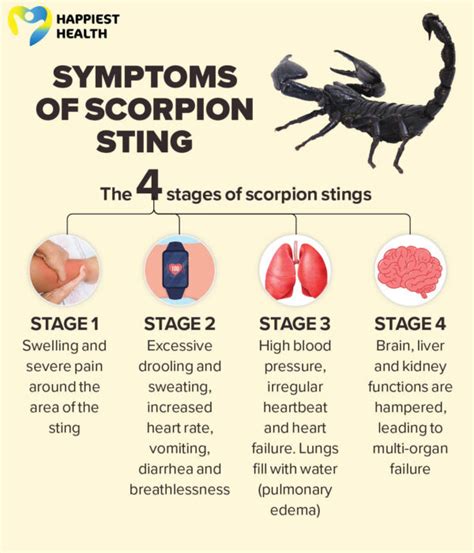 What to do when a scorpion stings - Happiest Health