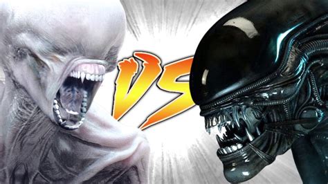 NEOMORPH VS XENOMORPH - YouTube