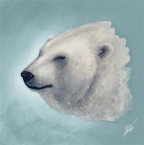 Polar Bear Sketch by ARTdesk on DeviantArt