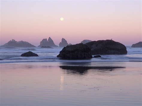 Oregon Coast Wallpapers - Top Free Oregon Coast Backgrounds ...