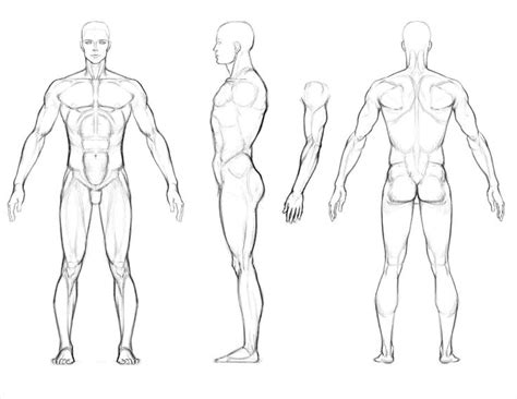 Photobucket Rhph Art Full Body Man Drawing Reference - Full Body Sketch ...