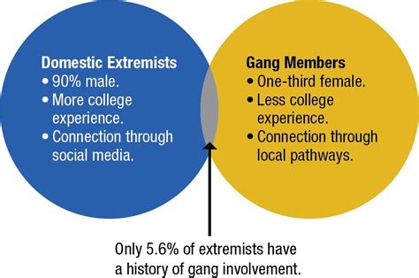 Gangs vs. Extremists: Solutions for Gangs May Not Work Against Extremism | National Institute of ...