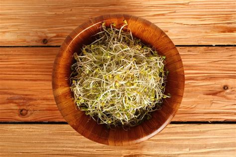 10 Great Health Benefits of Broccoli Sprouts - Facty Health