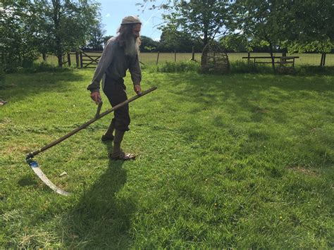 Mowing a Lawn with a Scythe - Scythe Cymru