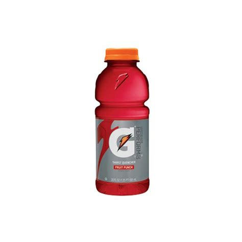 Gatorade Fruit Punch 24/20 Oz - Lovatoni's