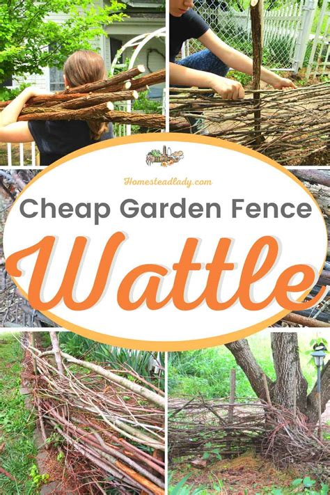 DIY Wattle: Cheap Garden Fence • Homestead Lady