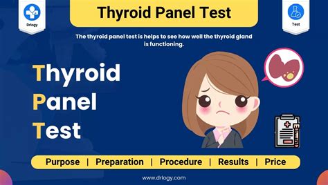 What is the difference between TSH and thyroid panel?