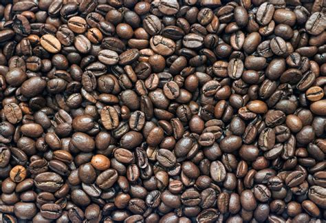 Coffee Beans - Free Stock Photos ::: LibreShot
