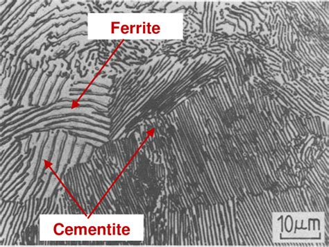 Cementite Microstructure