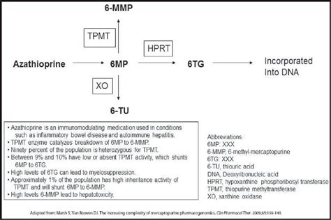 Appendix 14: Thiopurine Methyltransferase Pathway