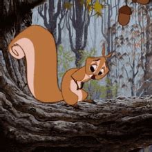 Sad Squirrel GIFs | Tenor