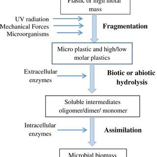 Factors affecting rate of biodegradation (Gu, 2018) | Download ...