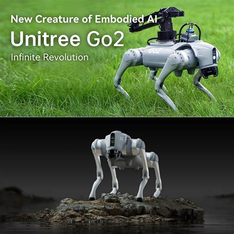 Unitree Go2 Quadruped Robot Dog Unveiled, Gets Upgraded with AI and 4D ...