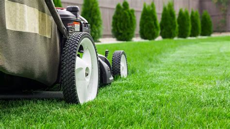 Spring Lawn Care: 4 Essential Jobs to Do • Envii