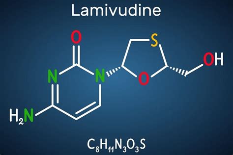 Lamivudine: Mechanism Of Action