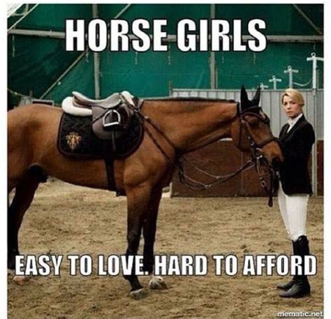 Pin by Donna Woytovich on I LOVE HORSES!!! | Funny horse memes, Horse ...