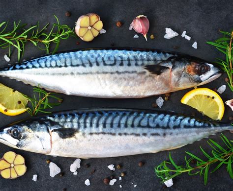 Buy Mackerel Xl 3kg Box Online at the Best Price, Free UK Delivery ...