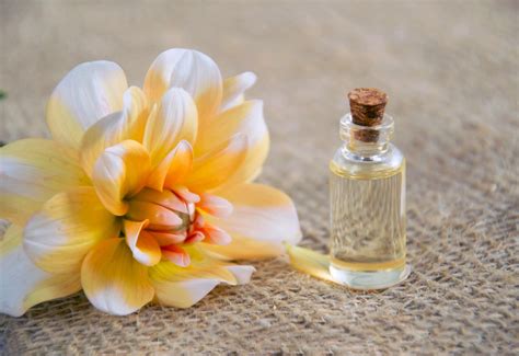 Free Images : aromatherapy, cosmetic oil, essential oil, flower ...