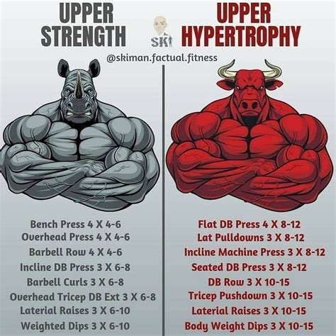 Strength VS Hypertrophy... (With images) | Muscle bodybuilder, Full ...