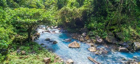 Rio Celeste Waterfall & Tenorio Volcano National Park Guide in 2020 ...