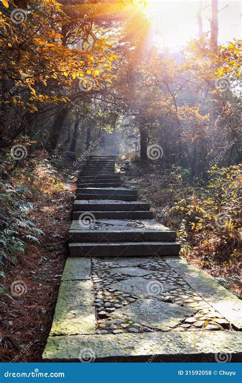 Stone Step Road In Autumn Royalty Free Stock Photos - Image: 31592058