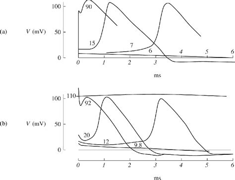 [PDF] A Primer on Mathematical Models in Biology | Semantic Scholar