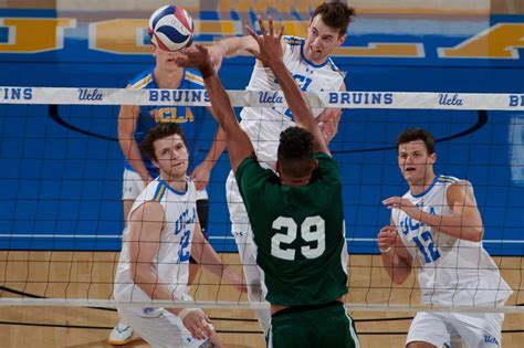 UCLA Men’s Volleyball Opens MPSF Tourney Against Concordia